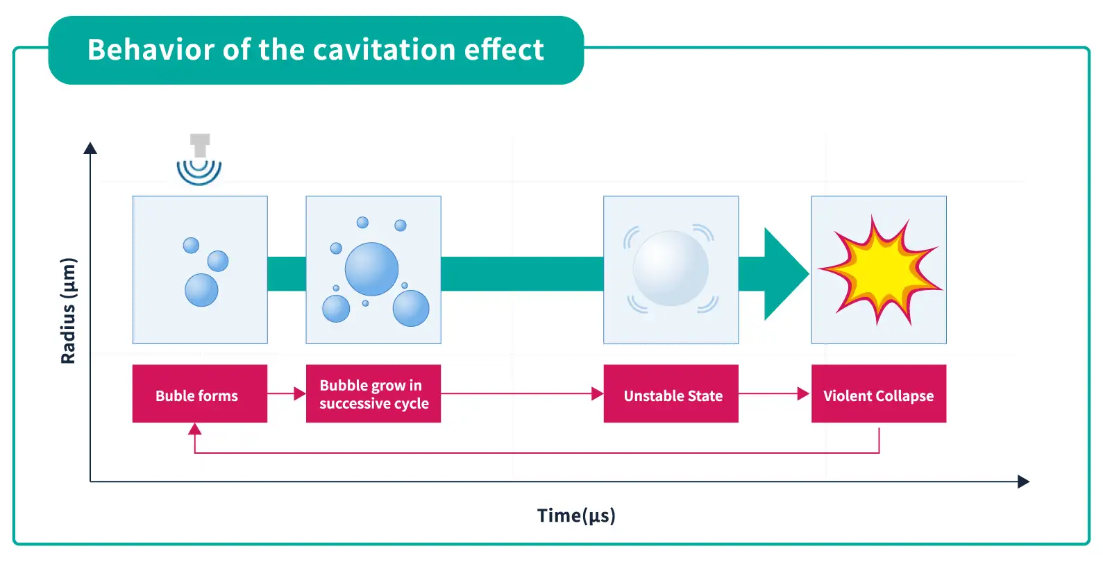 Behavior of Cavitation Bubbles